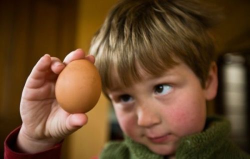 cho trẻ ăn trứng gà đúng cách