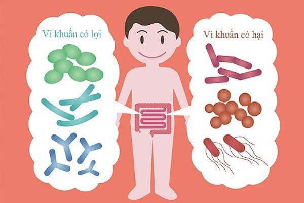 Cách phòng ngừa rối loạn tiêu hóa ở trẻ