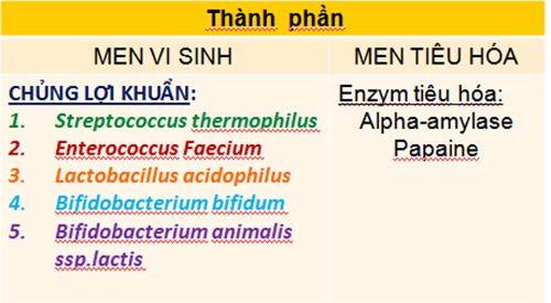 Phân biệt men vi sinh với men tiêu hóa