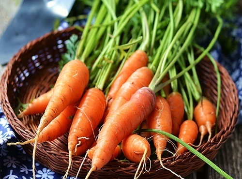 Cách chế biến món ăn từ cà rốt
