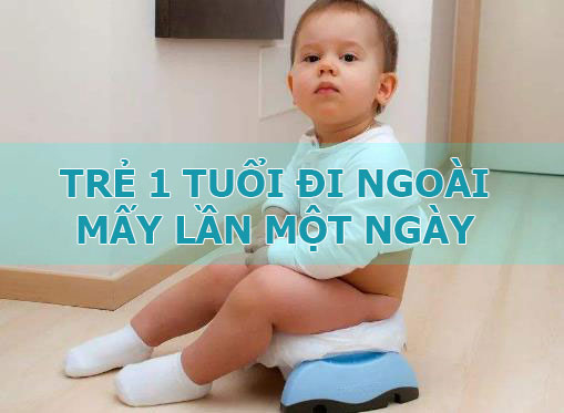 Trẻ 1 tuổi đi ngoài mấy lần một ngày
