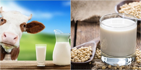 cach-chua-tri-chung-bat-dung-nap-lactose