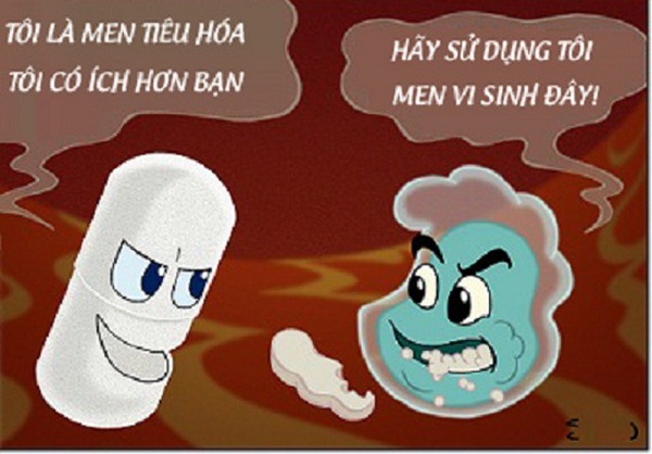 hau-qua-khi-su-dung-nham-lan-men-vi-sinh-va-men-tieu-hoa