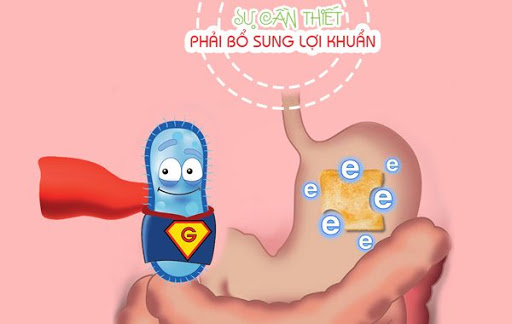 Lợi khuẩn đường ruôt.