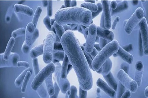 Lợi khuẩn lactobacillus acidophilus 75mg
